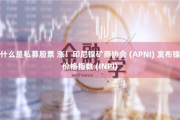 什么是私募股票 涨！印尼镍矿商协会 (APNI) 发布镍价格指数 (INPI)