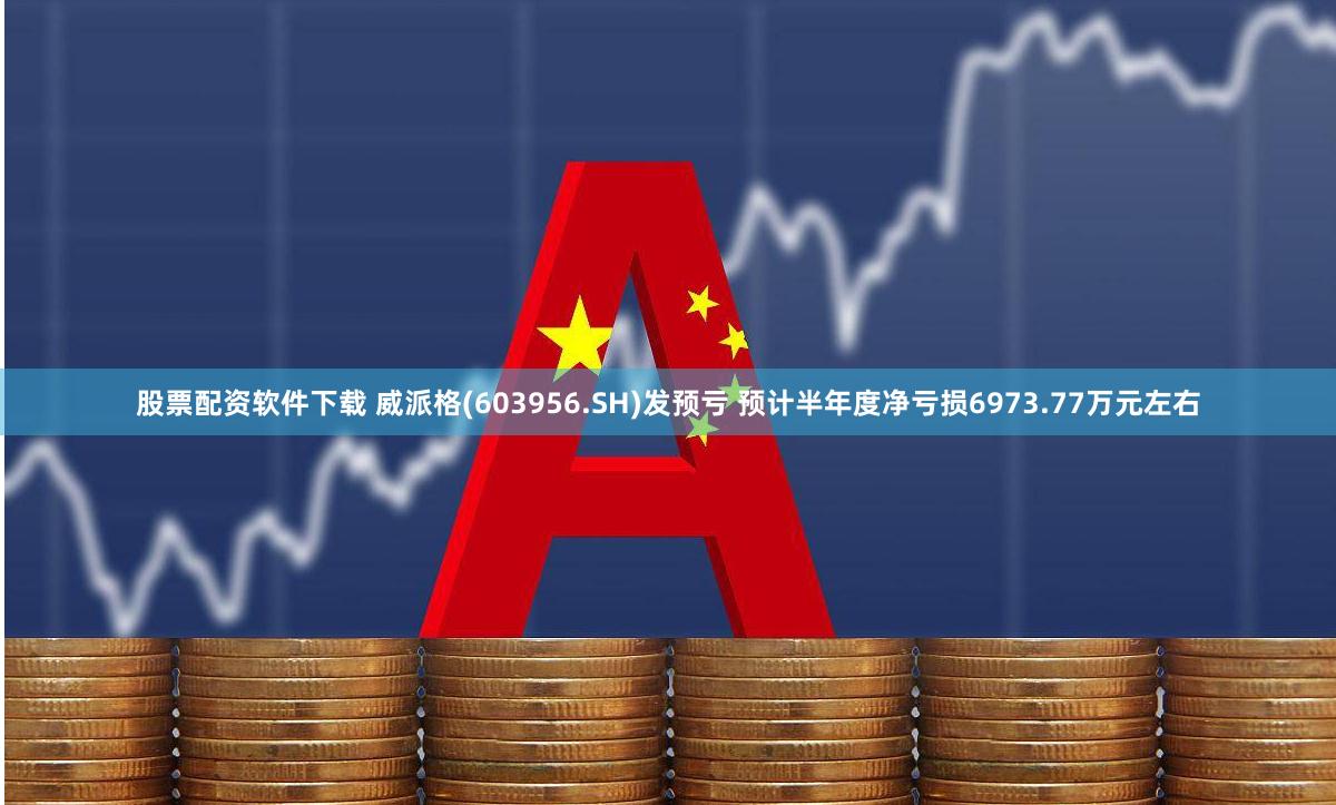 股票配资软件下载 威派格(603956.SH)发预亏 预计半年度净亏损6973.77万元左右