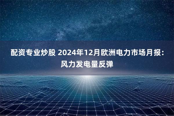 配资专业炒股 2024年12月欧洲电力市场月报：风力发电量反弹